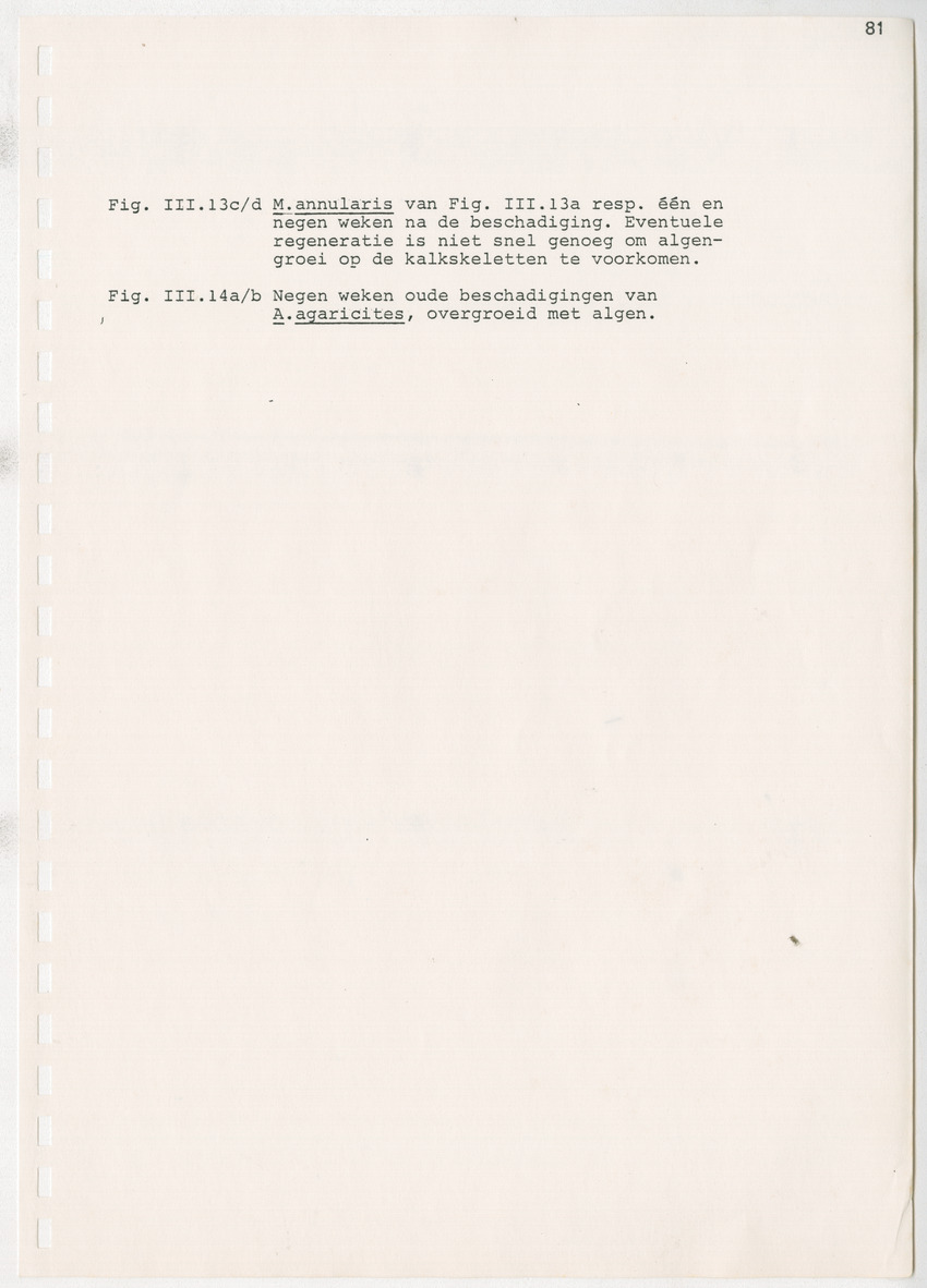 z Kanastervisserijonderzoek op Bonaire, Nederlandse Antillen - New Page