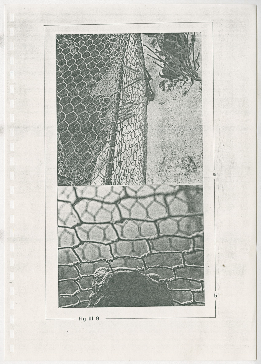 z Kanastervisserijonderzoek op Bonaire, Nederlandse Antillen - New Page