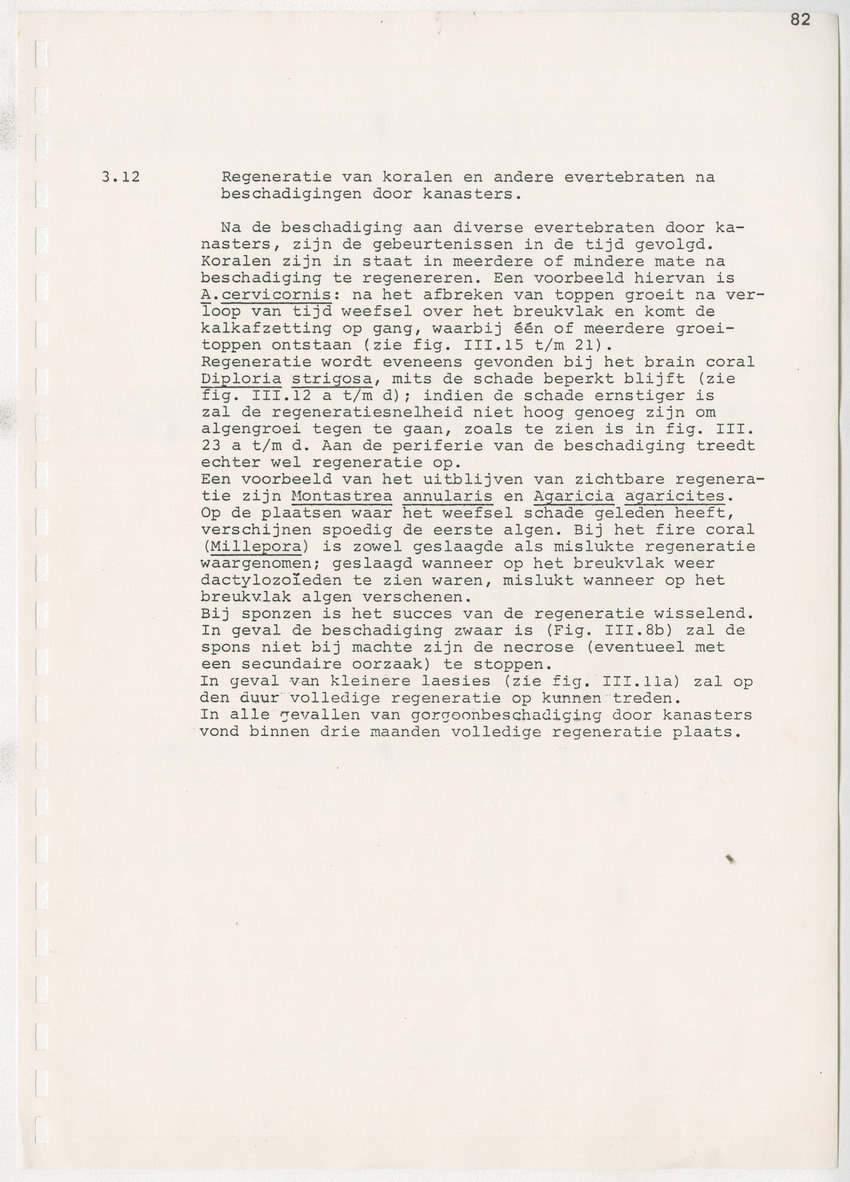 z Kanastervisserijonderzoek op Bonaire, Nederlandse Antillen - New Page