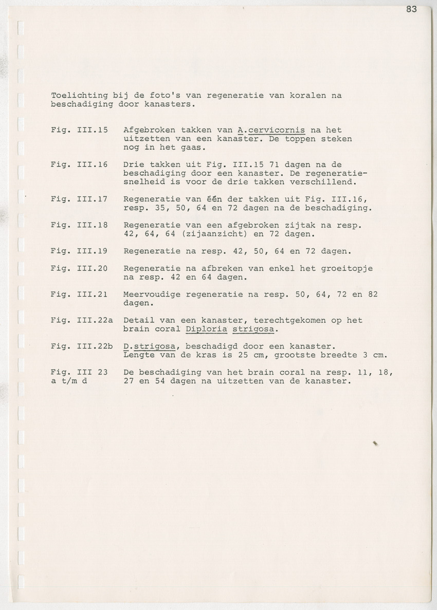 z Kanastervisserijonderzoek op Bonaire, Nederlandse Antillen - New Page