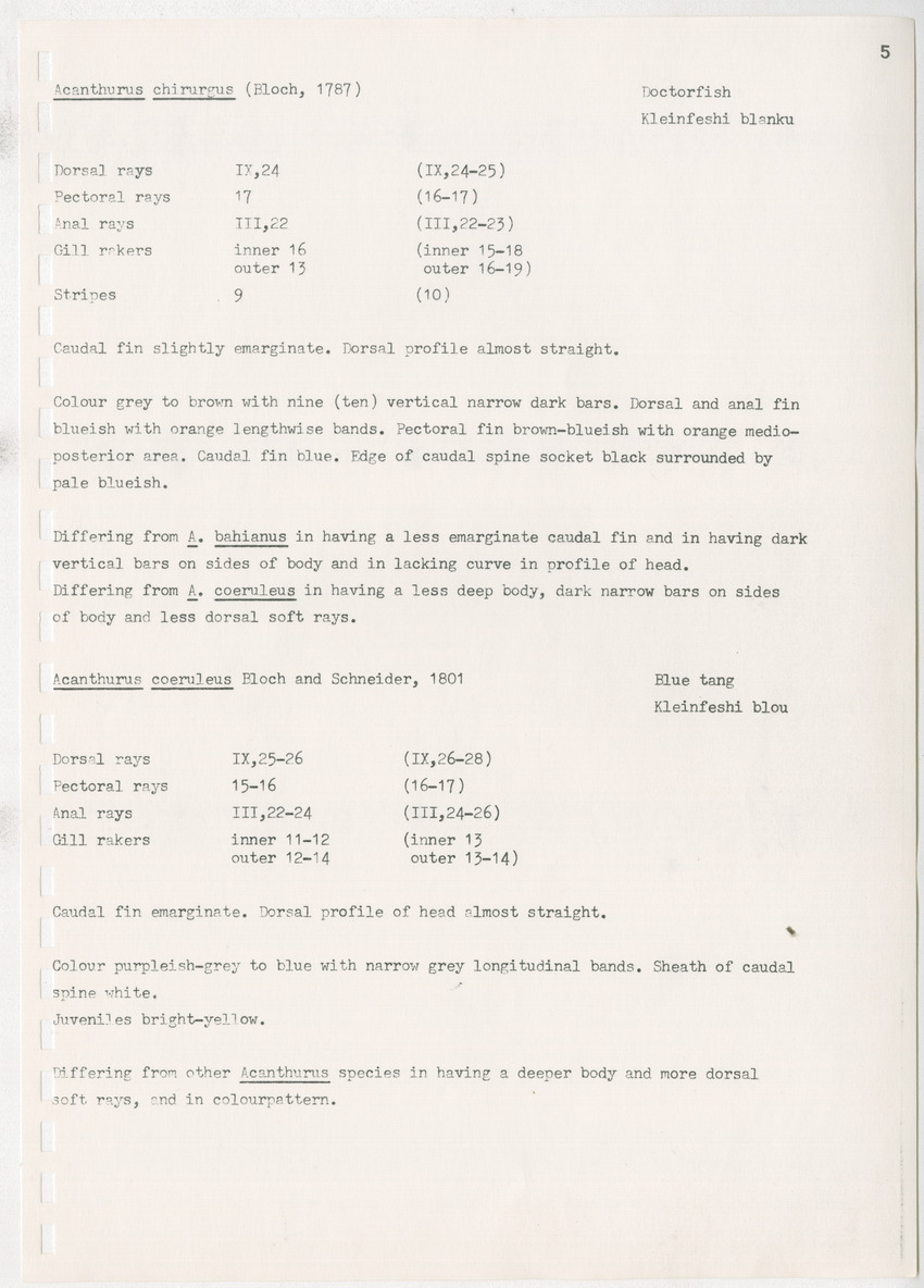 z Kanastervisserijonderzoek op Bonaire, Nederlandse Antillen - New Page