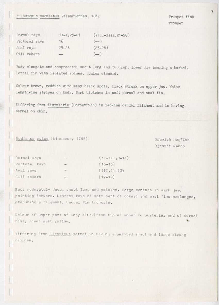 z Kanastervisserijonderzoek op Bonaire, Nederlandse Antillen - New Page