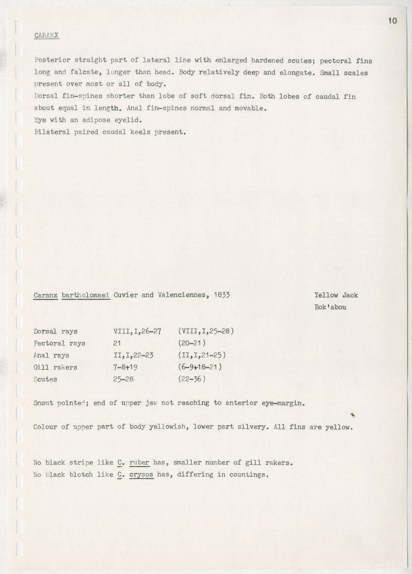 z Kanastervisserijonderzoek op Bonaire, Nederlandse Antillen - New Page