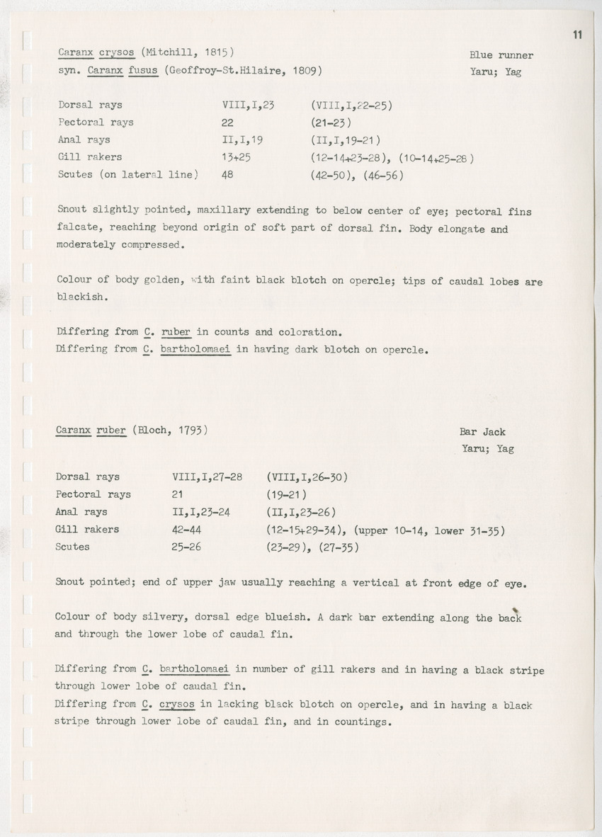 z Kanastervisserijonderzoek op Bonaire, Nederlandse Antillen - New Page