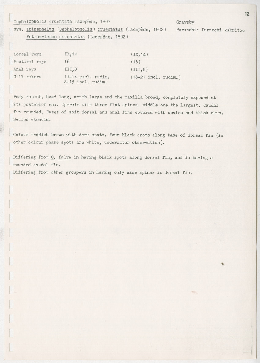z Kanastervisserijonderzoek op Bonaire, Nederlandse Antillen - New Page