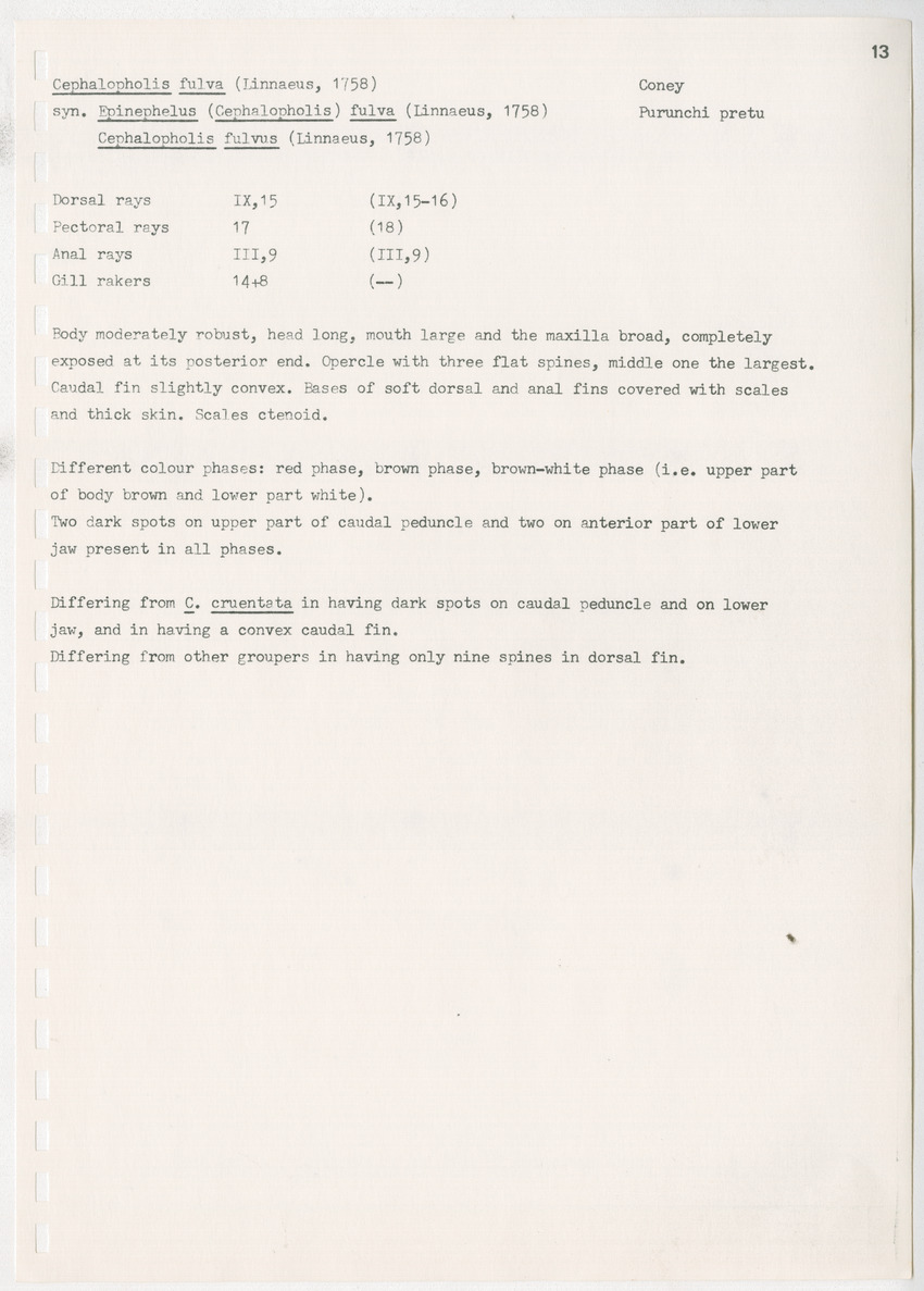 z Kanastervisserijonderzoek op Bonaire, Nederlandse Antillen - New Page
