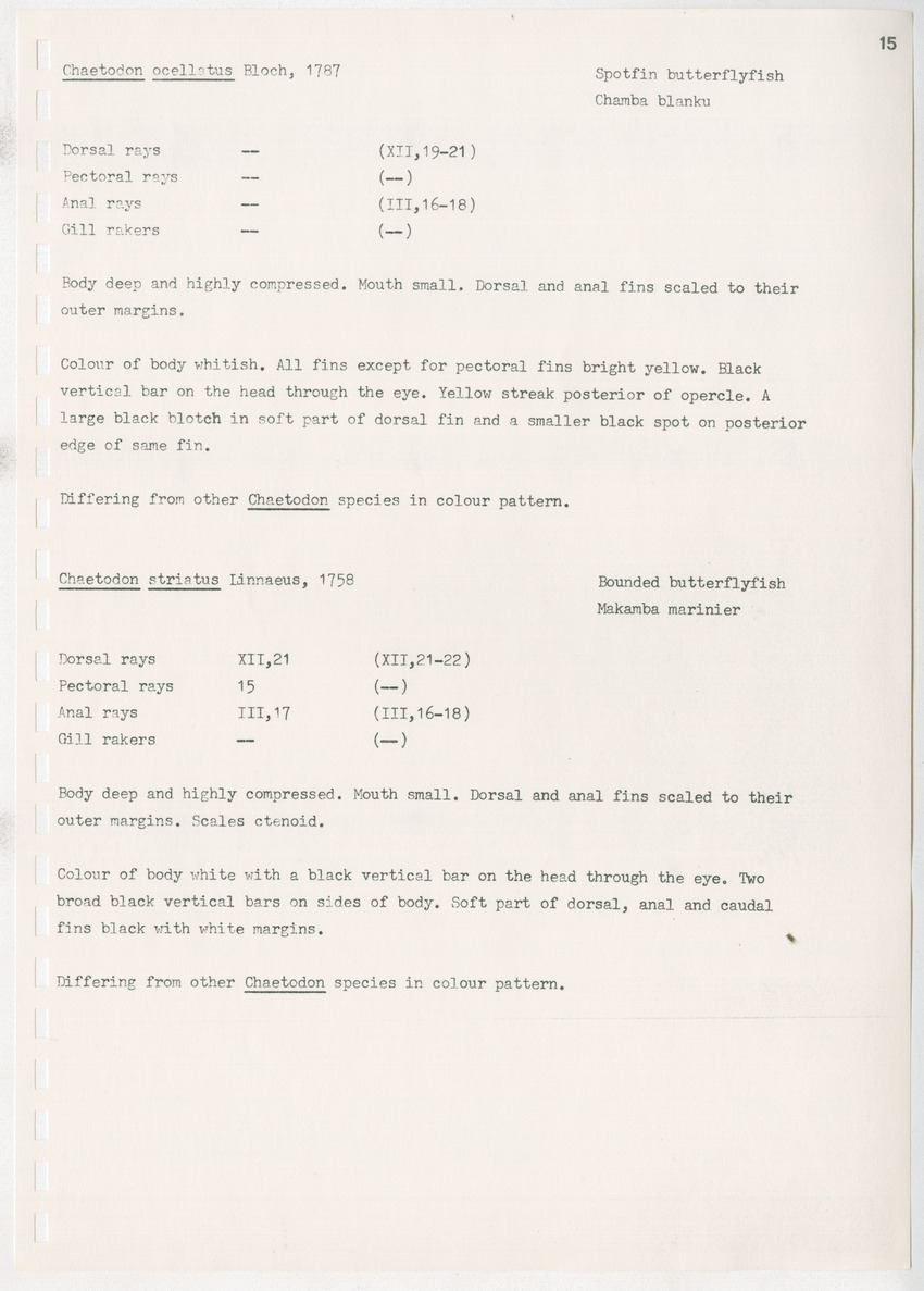 z Kanastervisserijonderzoek op Bonaire, Nederlandse Antillen - New Page