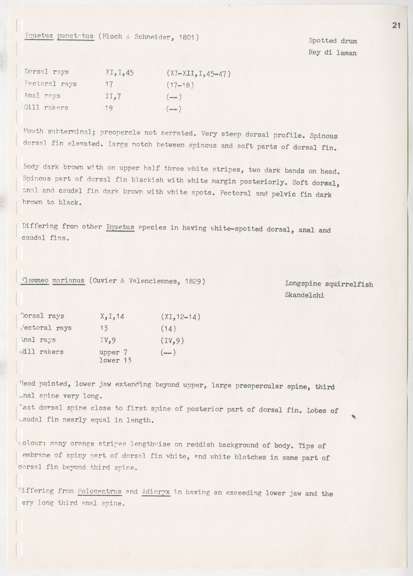 z Kanastervisserijonderzoek op Bonaire, Nederlandse Antillen - New Page