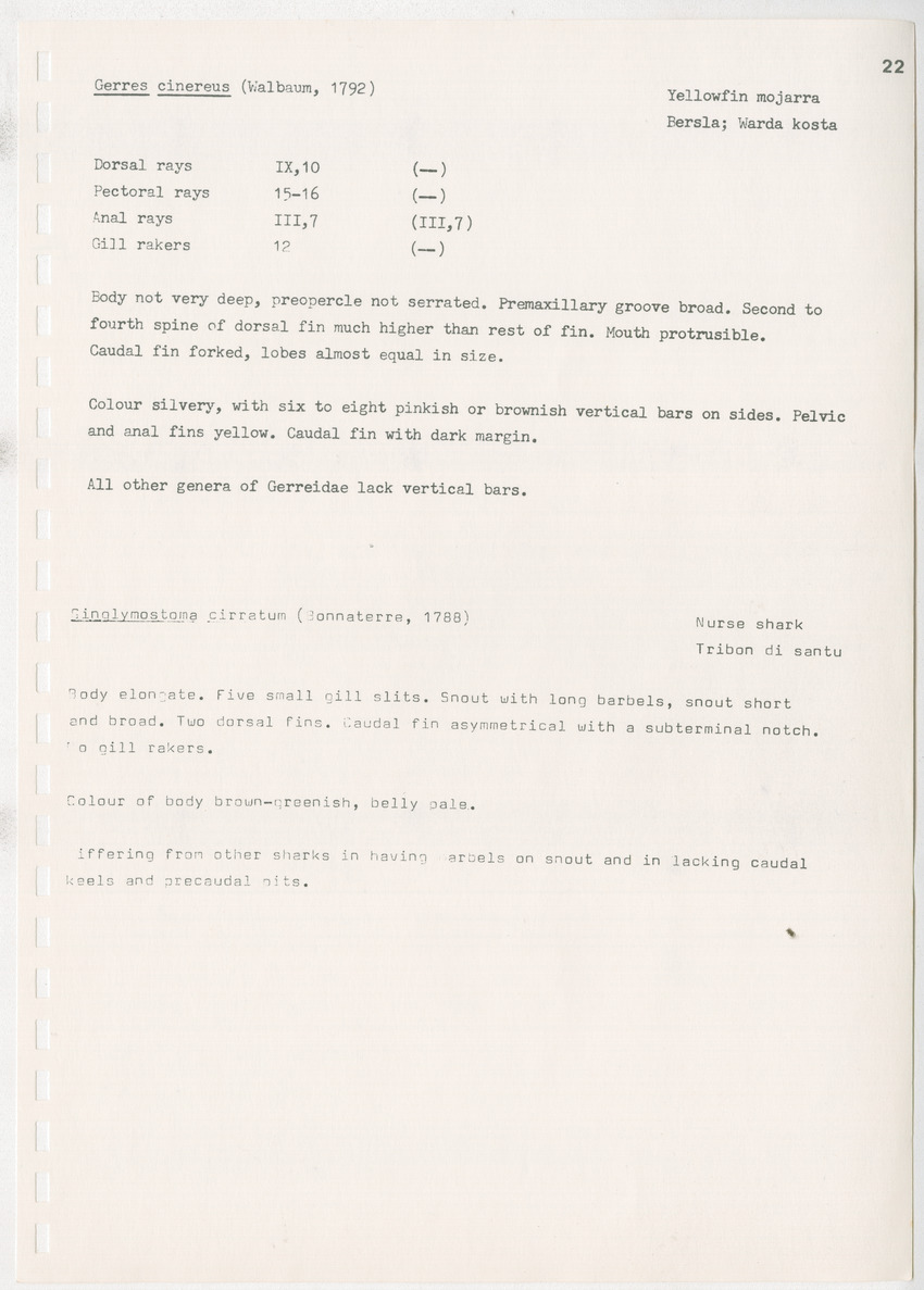 z Kanastervisserijonderzoek op Bonaire, Nederlandse Antillen - New Page