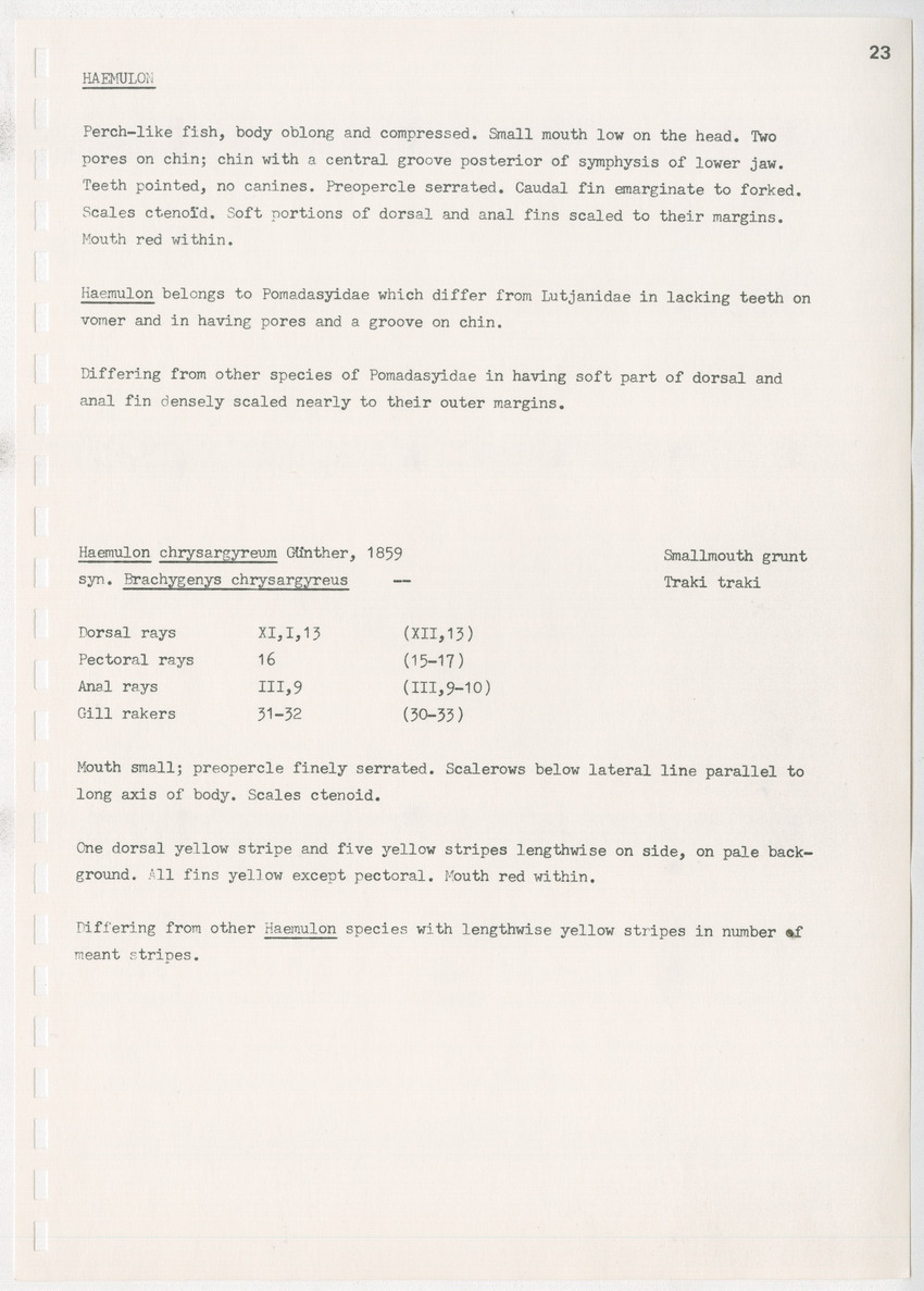 z Kanastervisserijonderzoek op Bonaire, Nederlandse Antillen - New Page