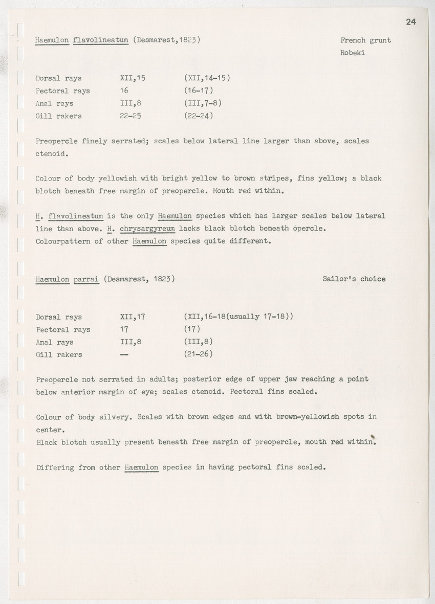 z Kanastervisserijonderzoek op Bonaire, Nederlandse Antillen - New Page