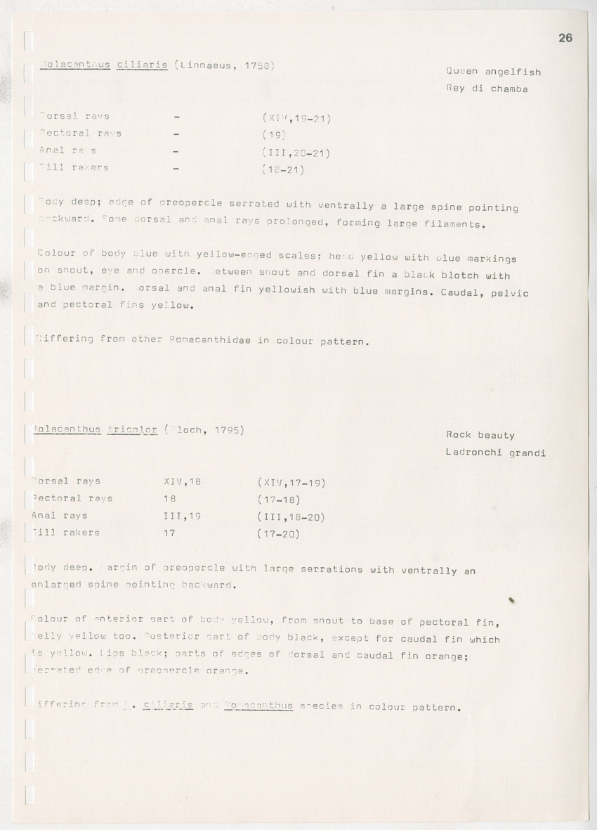 z Kanastervisserijonderzoek op Bonaire, Nederlandse Antillen - New Page