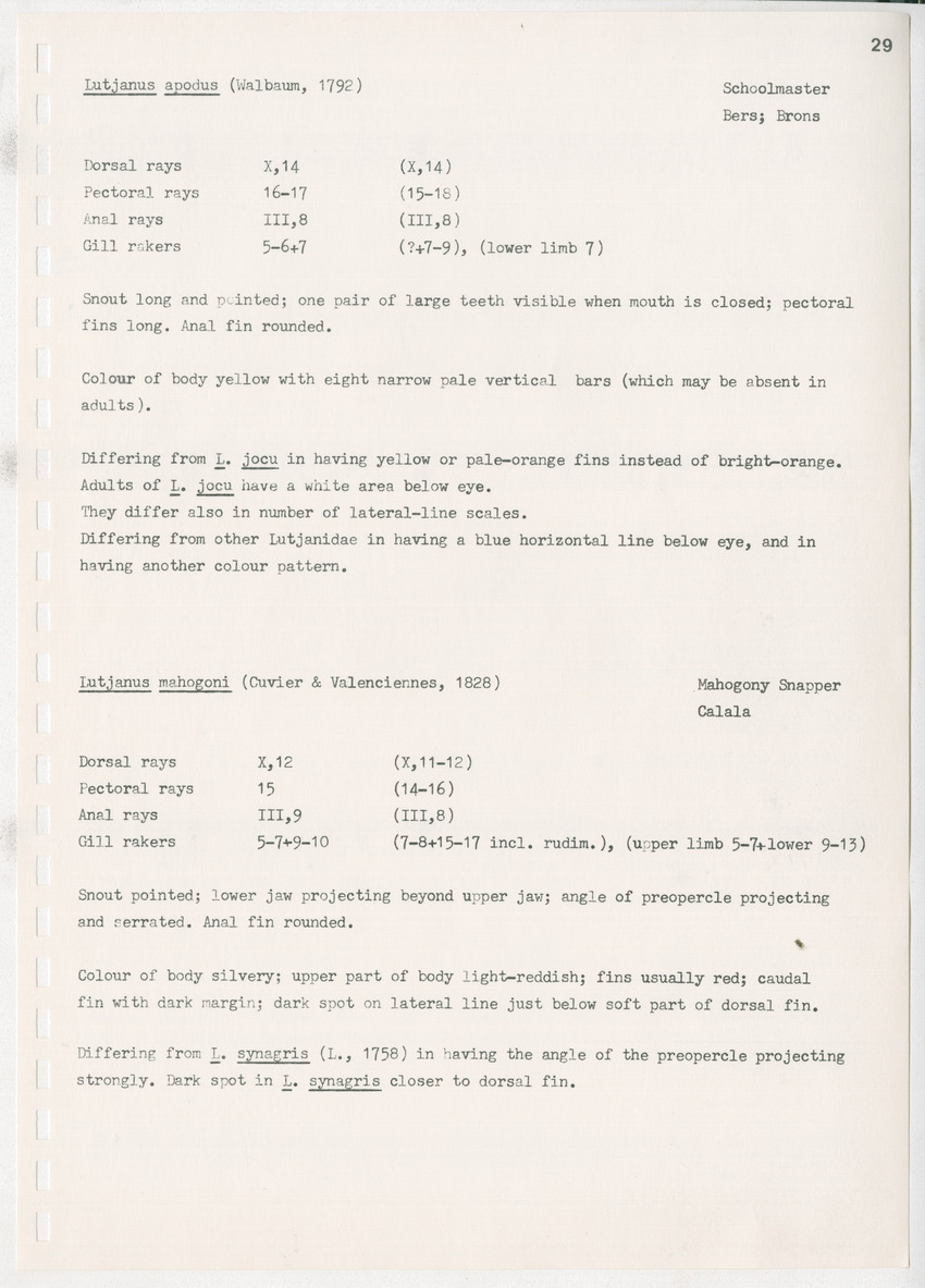 z Kanastervisserijonderzoek op Bonaire, Nederlandse Antillen - New Page