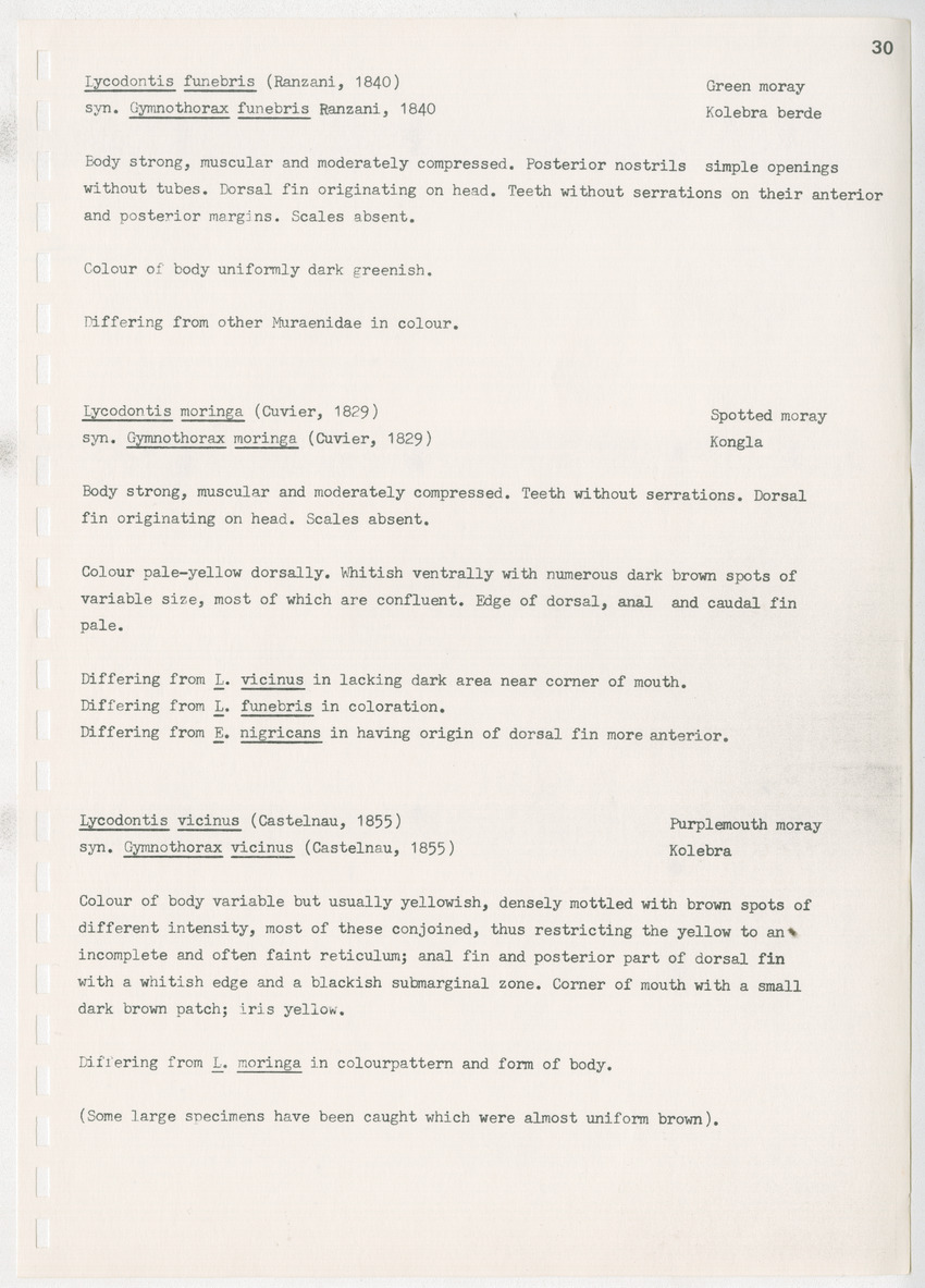 z Kanastervisserijonderzoek op Bonaire, Nederlandse Antillen - New Page