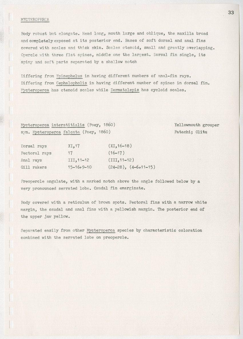 z Kanastervisserijonderzoek op Bonaire, Nederlandse Antillen - New Page