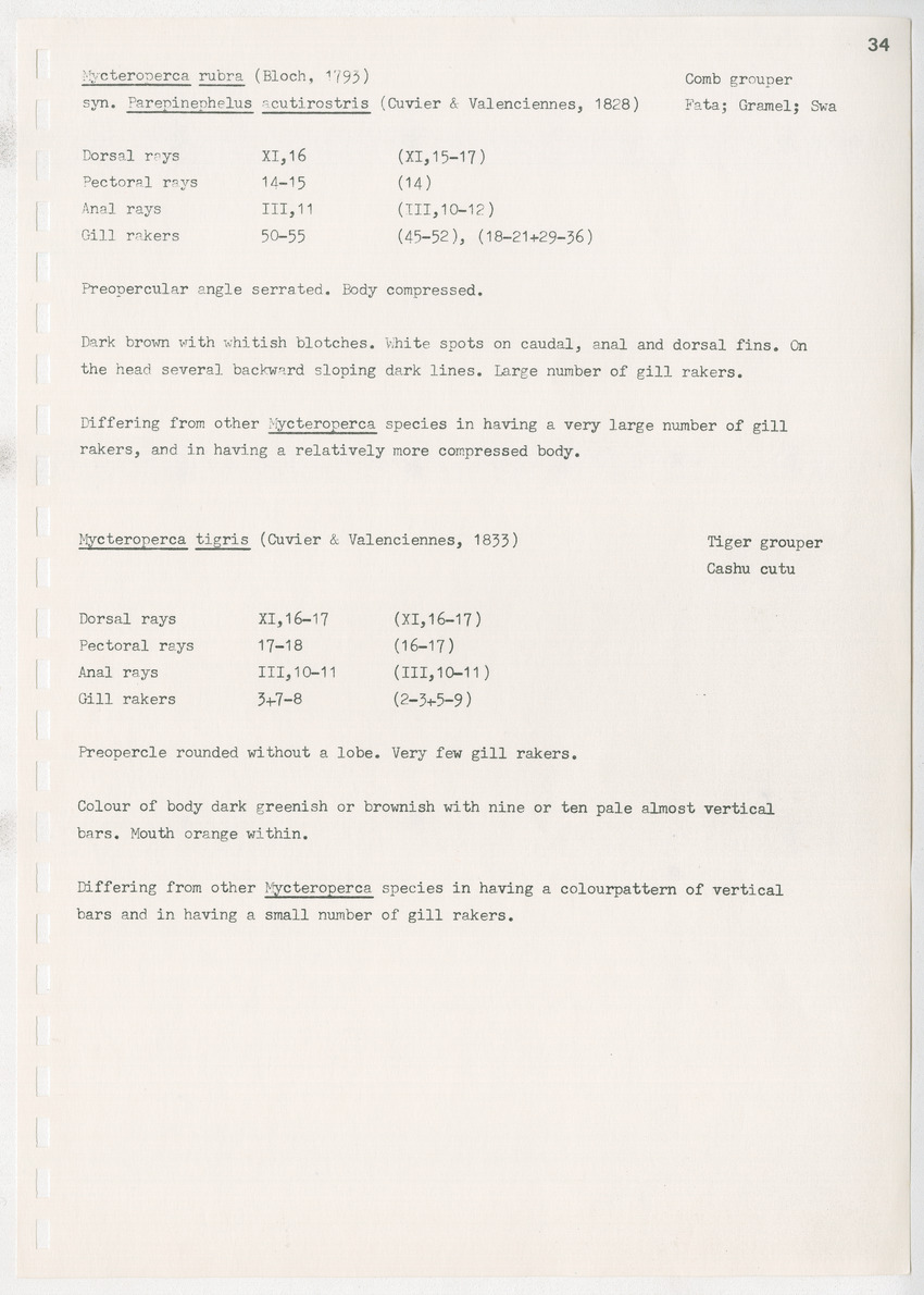 z Kanastervisserijonderzoek op Bonaire, Nederlandse Antillen - New Page