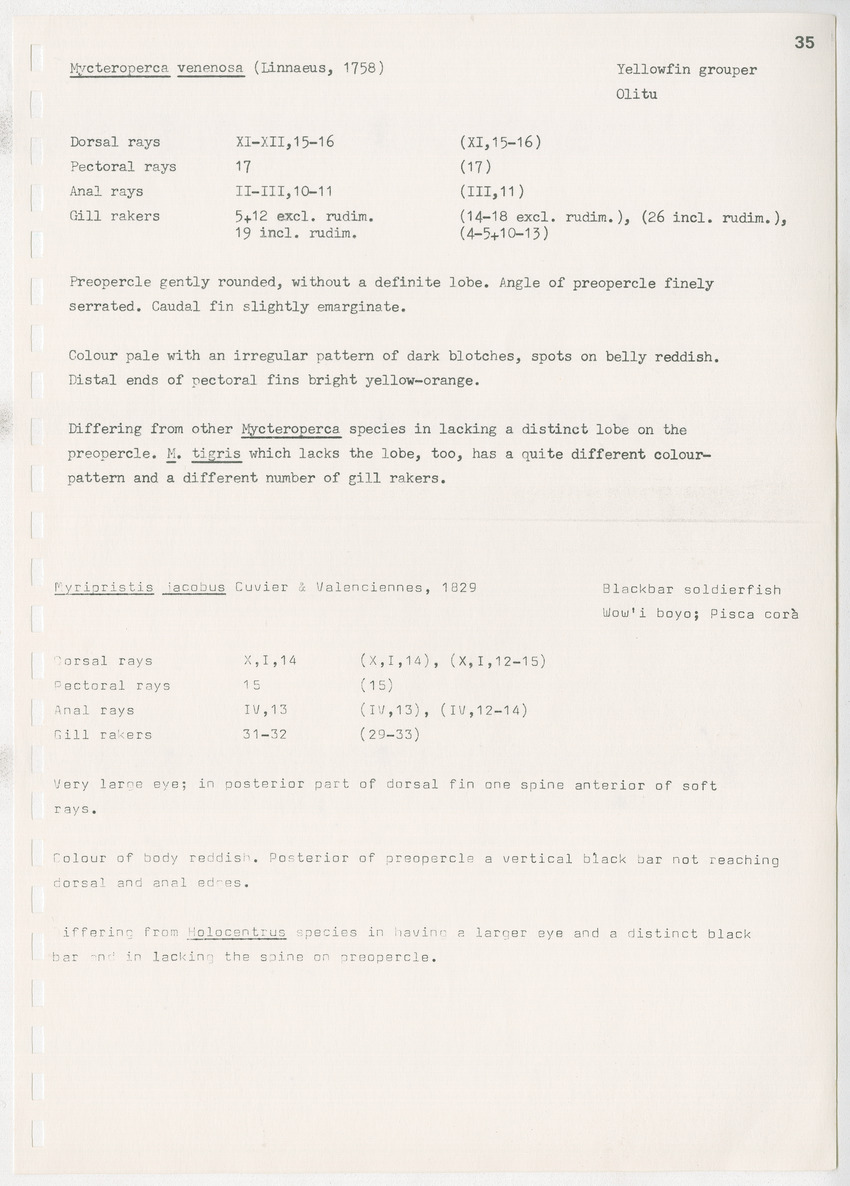 z Kanastervisserijonderzoek op Bonaire, Nederlandse Antillen - New Page