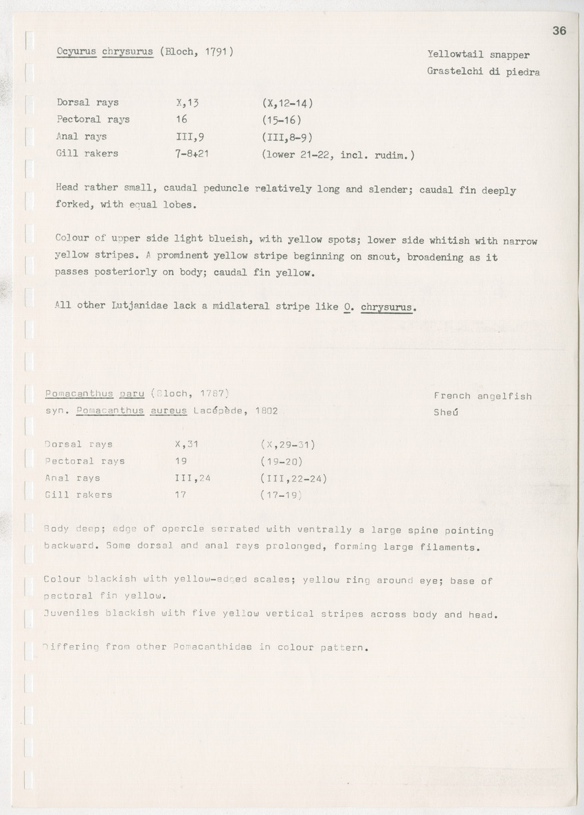 z Kanastervisserijonderzoek op Bonaire, Nederlandse Antillen - New Page
