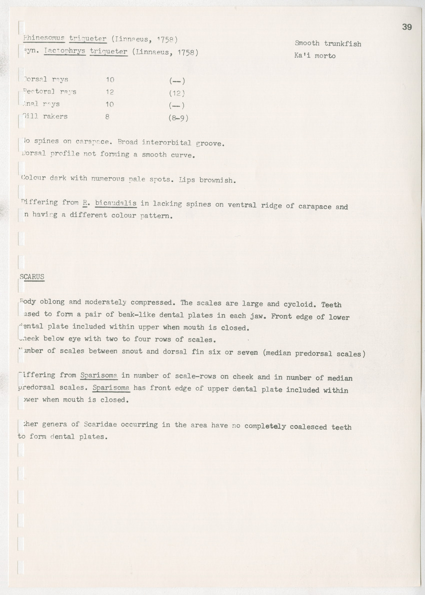 z Kanastervisserijonderzoek op Bonaire, Nederlandse Antillen - New Page