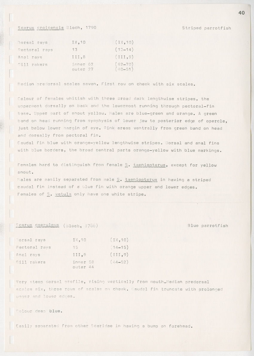 z Kanastervisserijonderzoek op Bonaire, Nederlandse Antillen - New Page