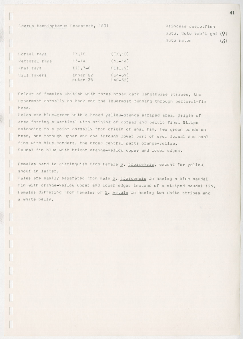 z Kanastervisserijonderzoek op Bonaire, Nederlandse Antillen - New Page