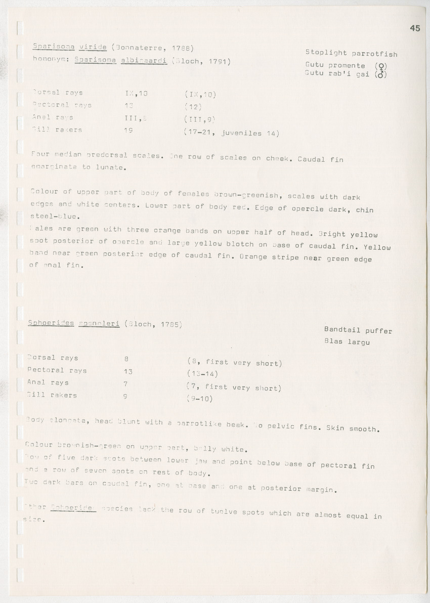 z Kanastervisserijonderzoek op Bonaire, Nederlandse Antillen - New Page