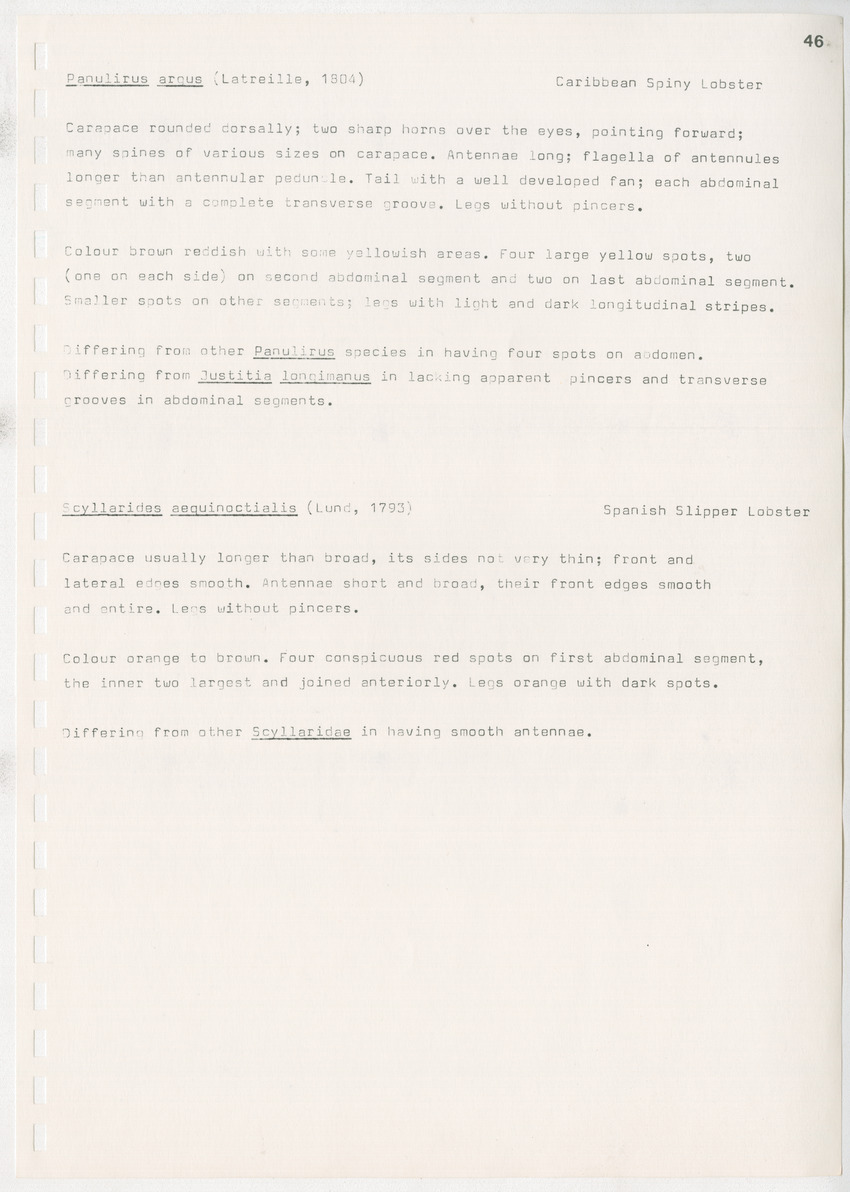 z Kanastervisserijonderzoek op Bonaire, Nederlandse Antillen - New Page