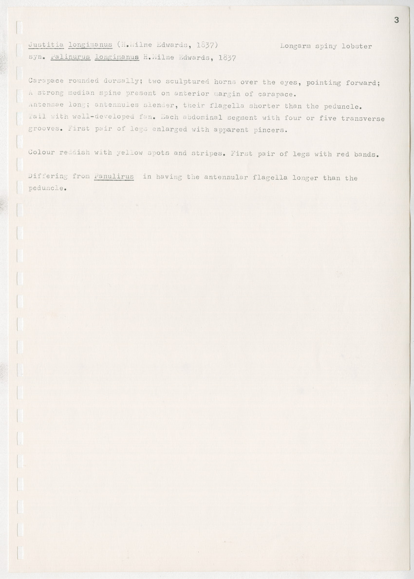 z Kanastervisserijonderzoek op Bonaire, Nederlandse Antillen - New Page