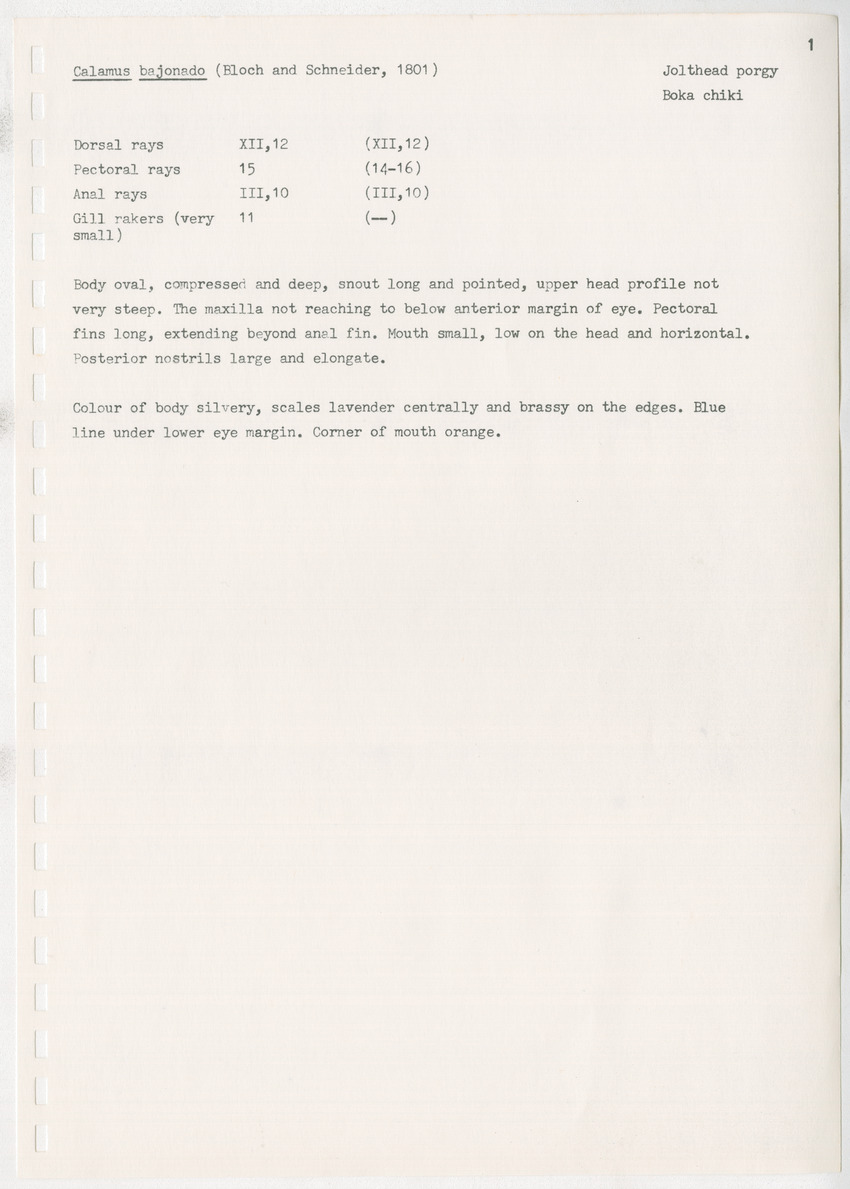 z Kanastervisserijonderzoek op Bonaire, Nederlandse Antillen - New Page