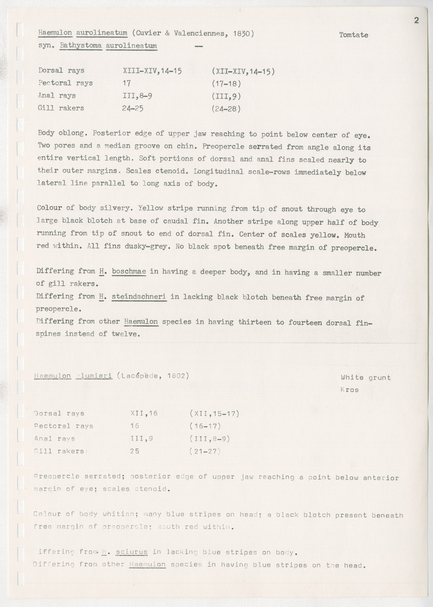 z Kanastervisserijonderzoek op Bonaire, Nederlandse Antillen - New Page