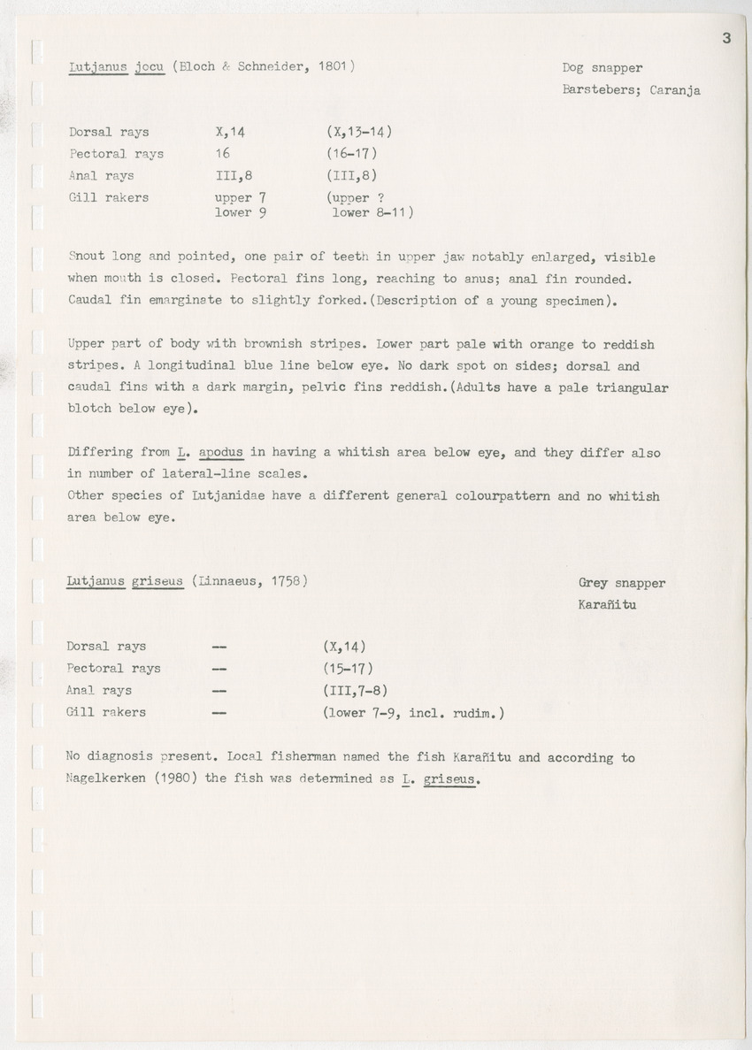 z Kanastervisserijonderzoek op Bonaire, Nederlandse Antillen - New Page