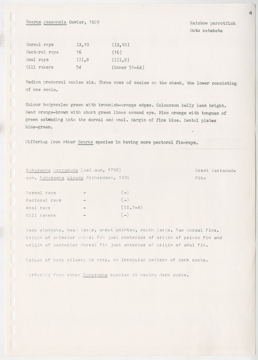 z Kanastervisserijonderzoek op Bonaire, Nederlandse Antillen - New Page