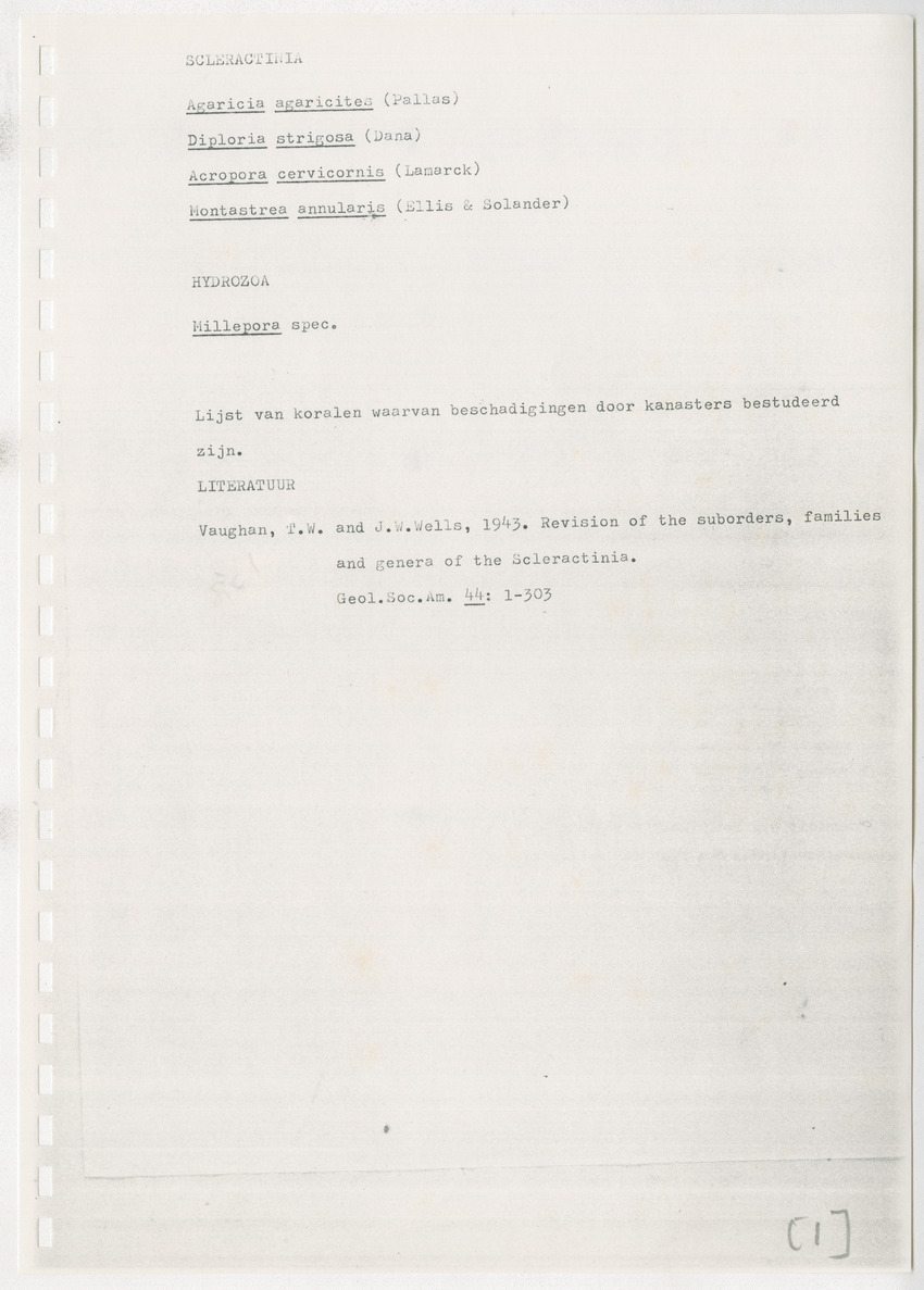 z Kanastervisserijonderzoek op Bonaire, Nederlandse Antillen - New Page