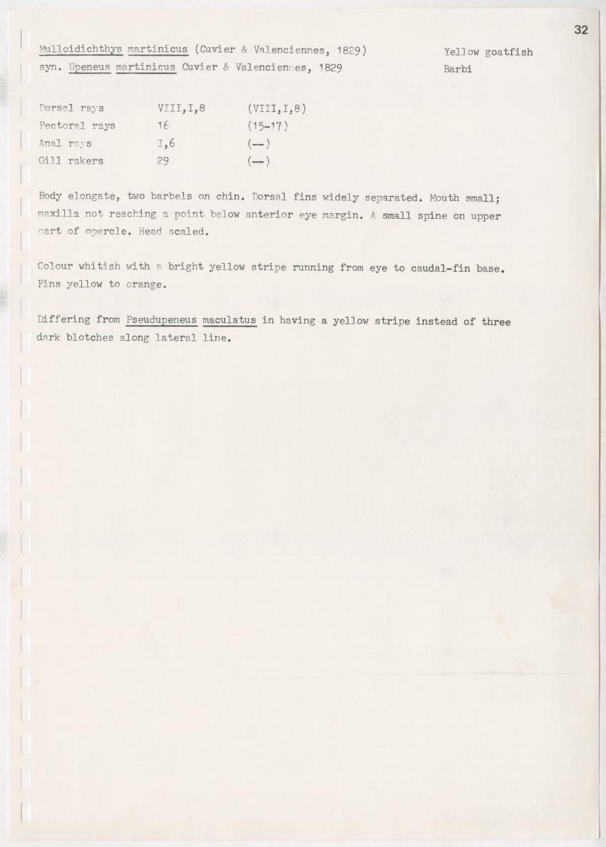 z Kanastervisserijonderzoek op Bonaire, Nederlandse Antillen - New Page