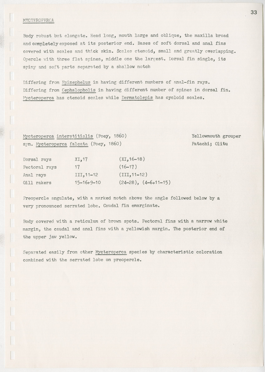 z Kanastervisserijonderzoek op Bonaire, Nederlandse Antillen - New Page