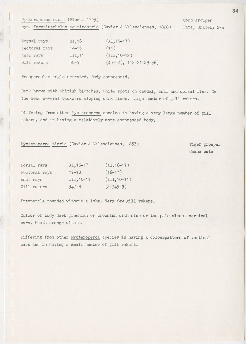 z Kanastervisserijonderzoek op Bonaire, Nederlandse Antillen - New Page