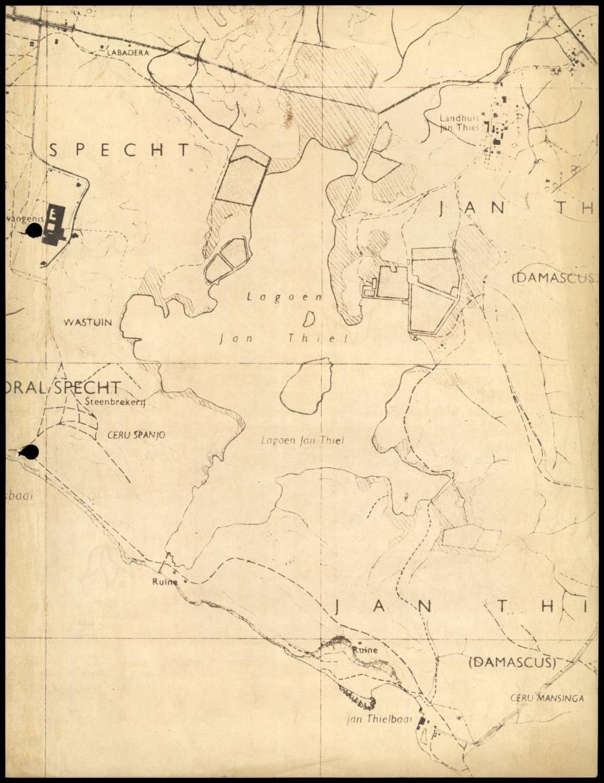 Z Onderzoek naar Zout- en Slibtolerantie van Koralen - New Page