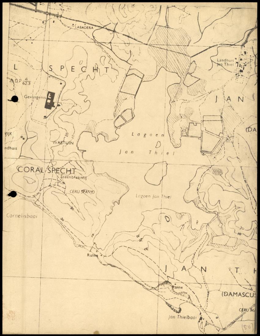 Z Onderzoek naar Zout- en Slibtolerantie van Koralen - New Page