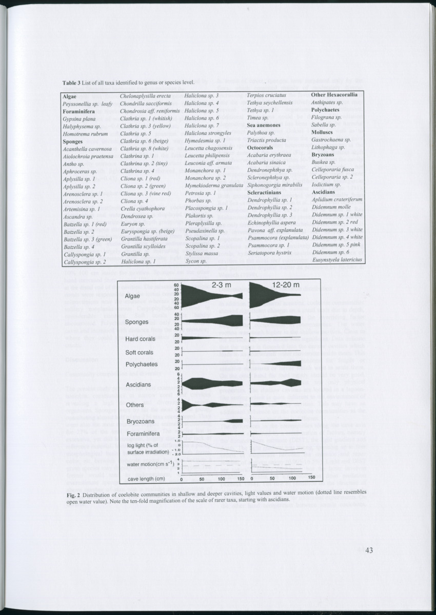 Feeding ecology of coral reef sponges - New Page
