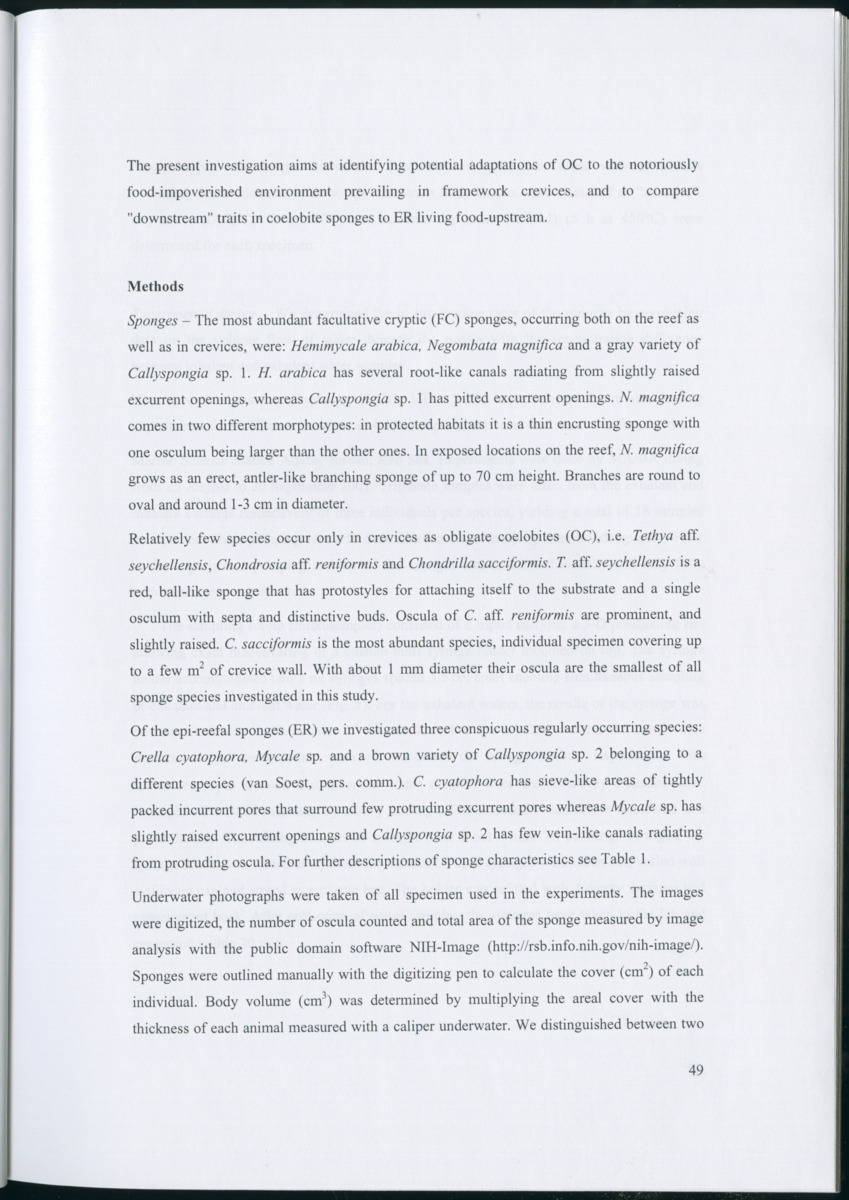 Feeding ecology of coral reef sponges - New Page