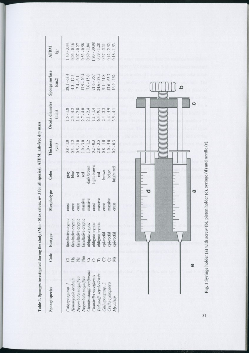 Feeding ecology of coral reef sponges - New Page