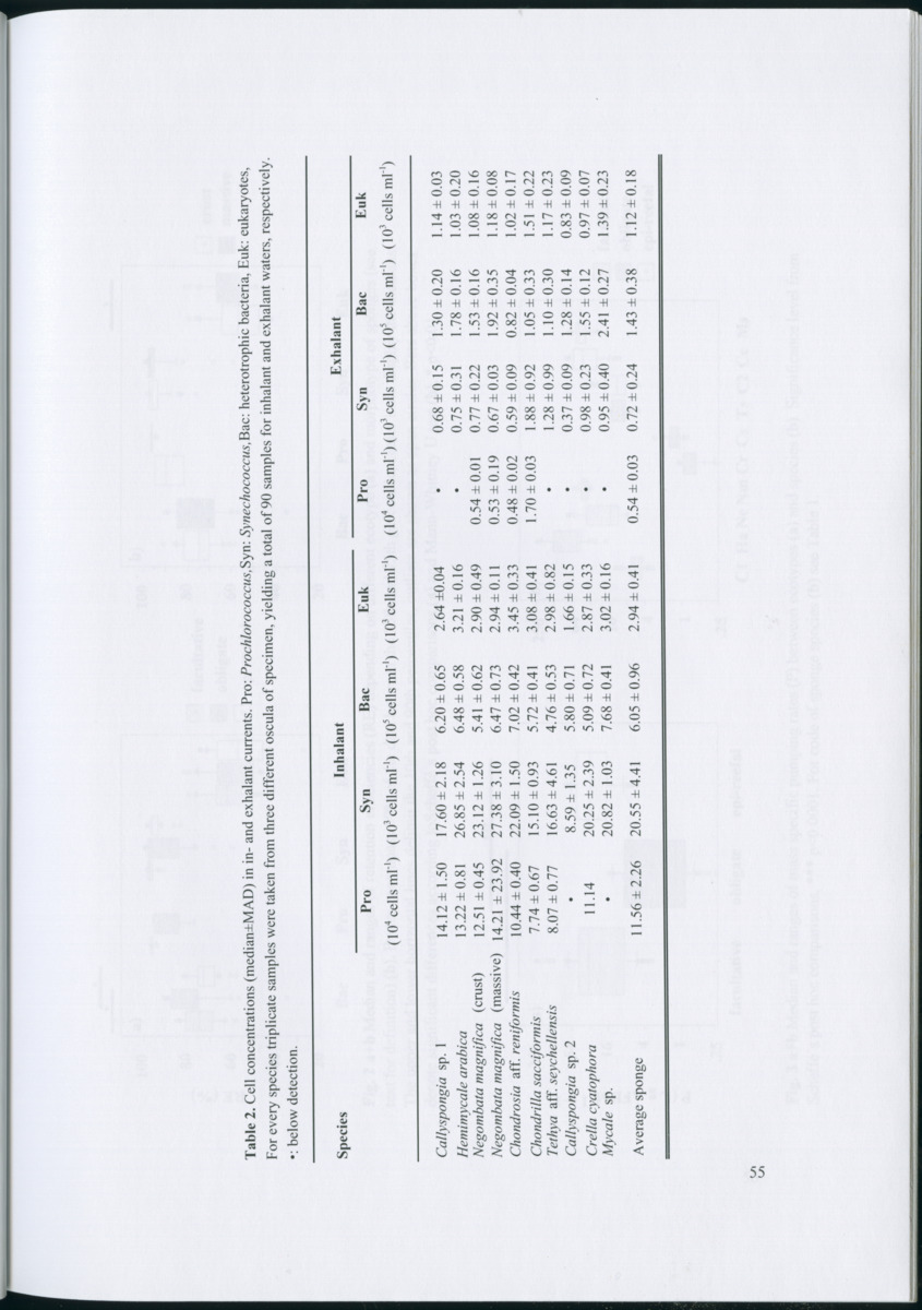 Feeding ecology of coral reef sponges - New Page