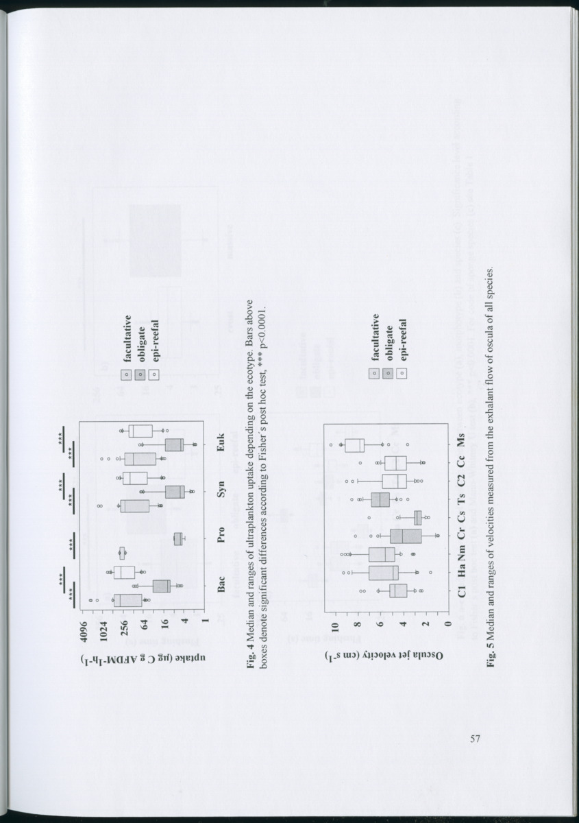 Feeding ecology of coral reef sponges - New Page