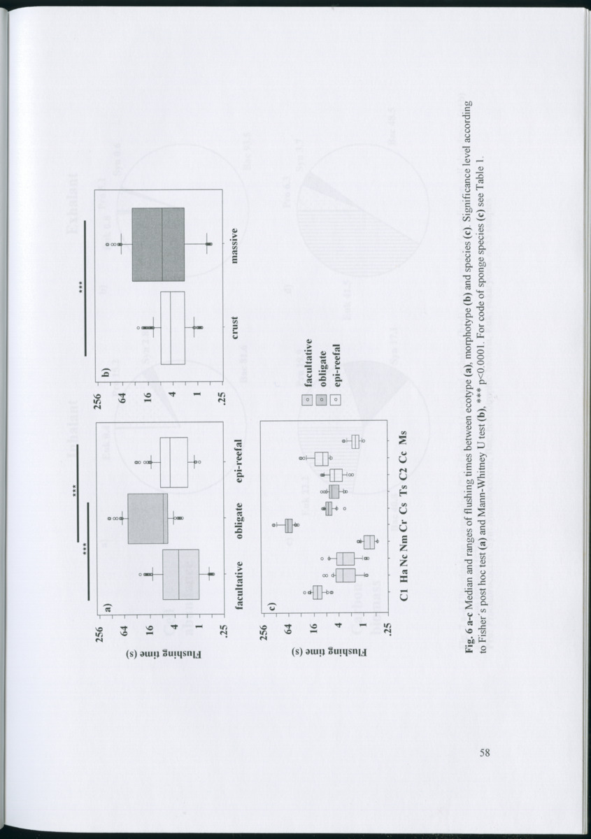 Feeding ecology of coral reef sponges - New Page