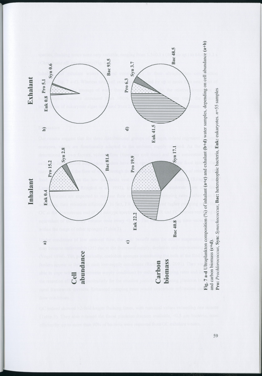 Feeding ecology of coral reef sponges - New Page