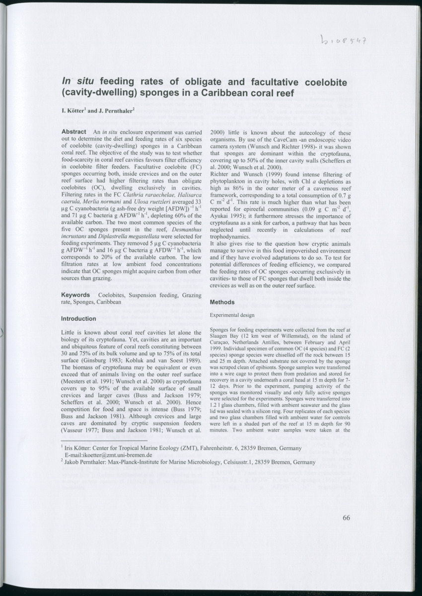 Feeding ecology of coral reef sponges - New Page
