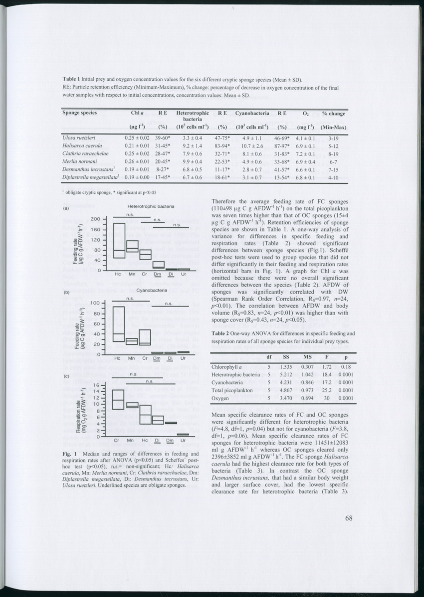 Feeding ecology of coral reef sponges - New Page