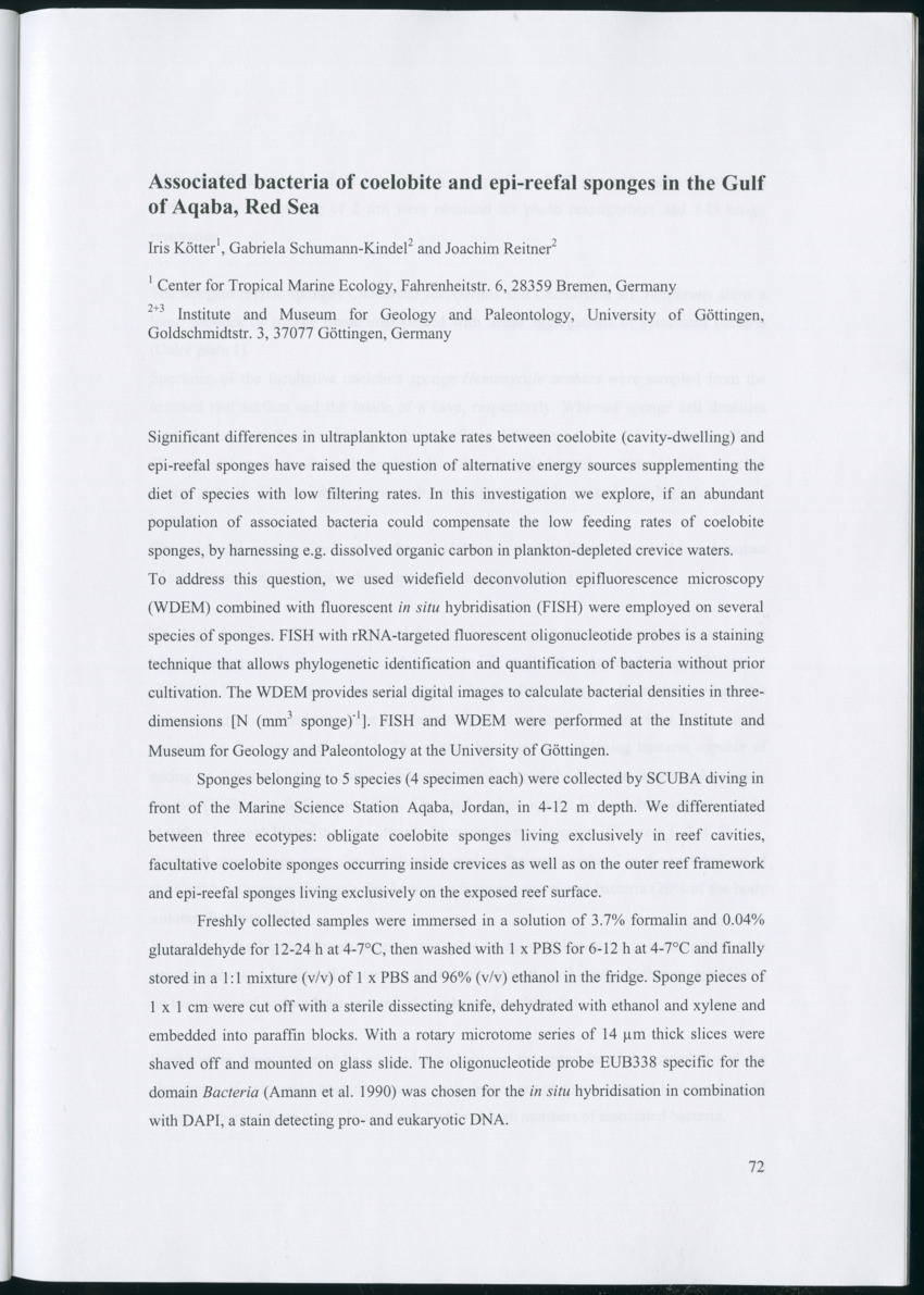 Feeding ecology of coral reef sponges - New Page