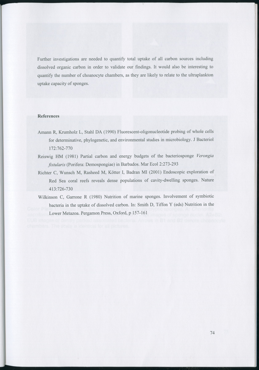 Feeding ecology of coral reef sponges - New Page