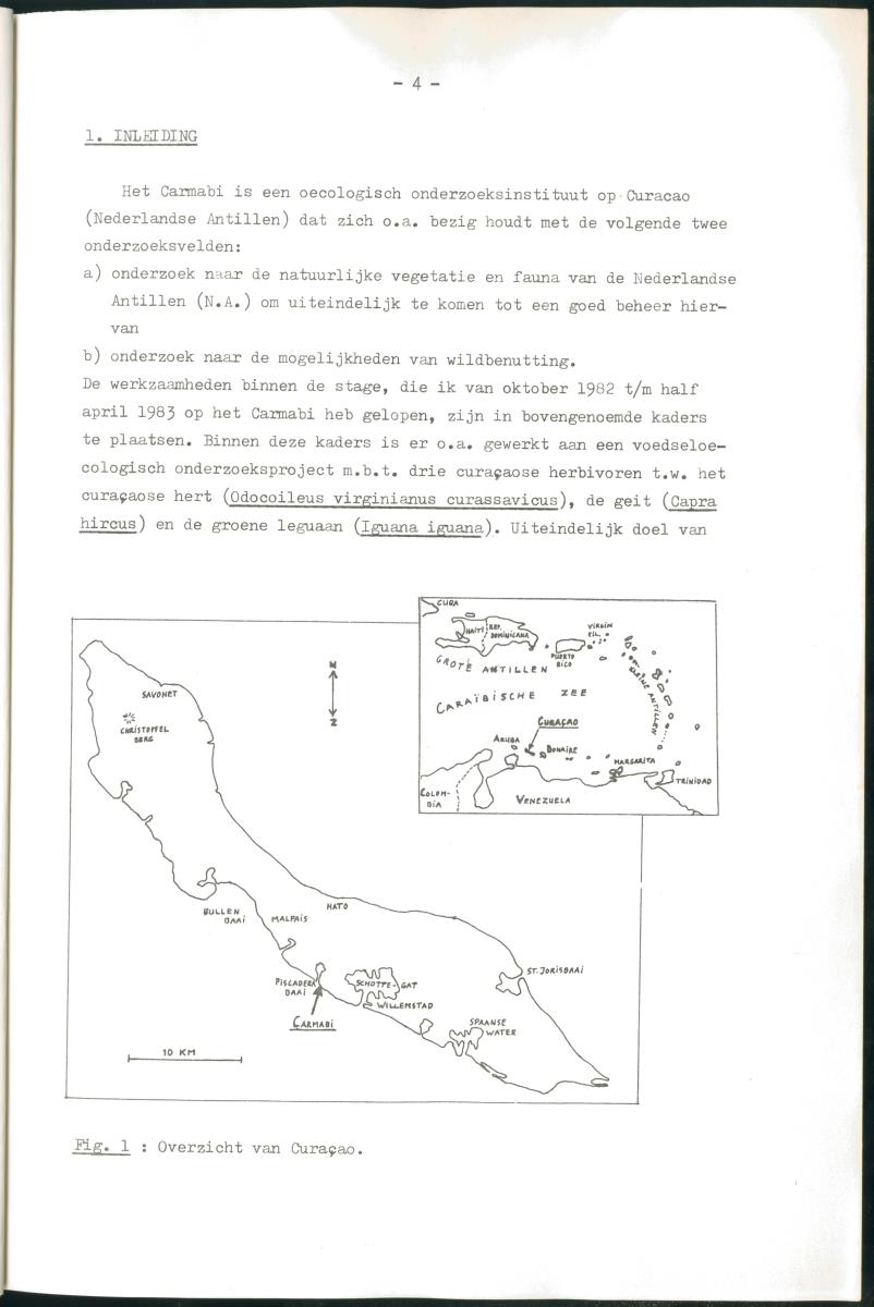 Z Verslag van een stage bij het Carmabi op Curaçao - met onder andere een Inventory report van het Curaçaos hert op Malpais. - New Page